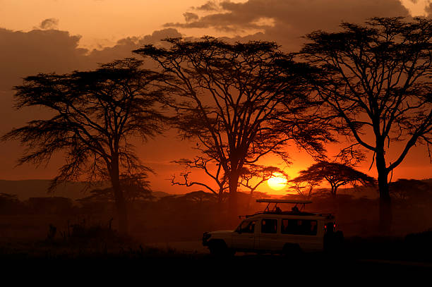 VIAJE SUDAFRICA ESENCIAL Y CATARATAS VICTORIA (ZIMBABWE)  DESDE TABASCO