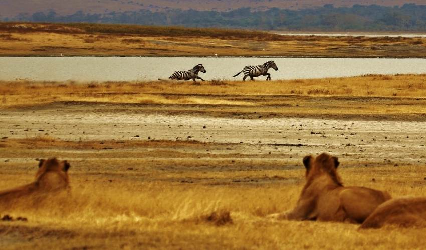 Viaje aventura en tanzania con zanzibar (en 4x4)  desde Tabasco