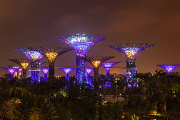 Viaje special singapur, java y bali  desde Tabasco